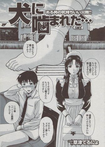 【エロ漫画】犬に噛まれ美人な巨乳メイドに大きなお屋敷で手当されていた男が、美人なセレブ奥様に飼い主の責任だと言われメイドと一緒にご奉仕セックスされた件♪