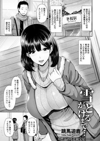 【エロ漫画】久しぶりに再会した甥っ子がすっかりおとなになっていて、未亡人の爆乳美人な叔母が受け入れ激しくいちゃラブ中出し近親相姦したった！